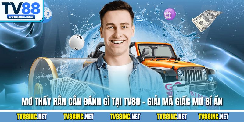 Mơ thấy rắn cắn đánh gì tại tv88 giải mã giấc mơ bí ẩn