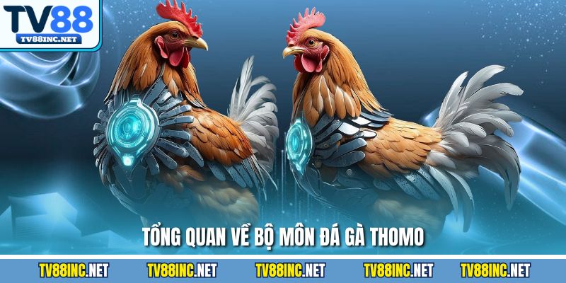 Tổng quan về bộ môn đá gà Thomo